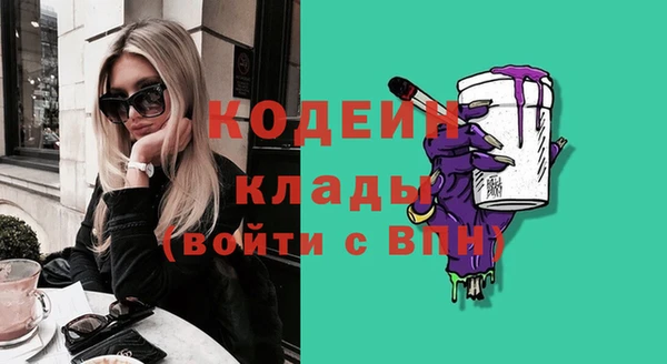 амф Дмитров