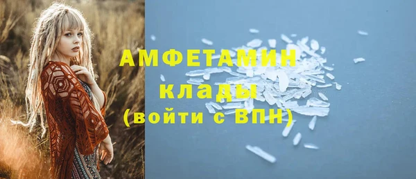 амф Дмитров