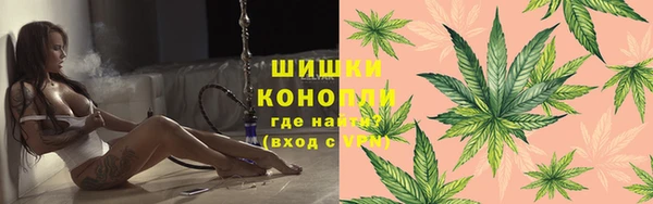 амф Дмитров
