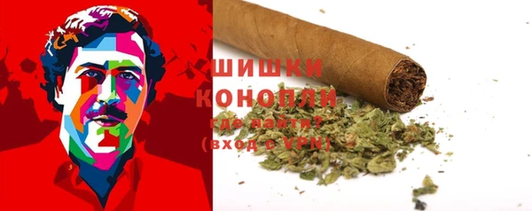 МДПВ Ельня