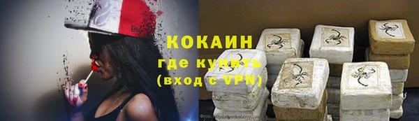 кокс Дмитриев