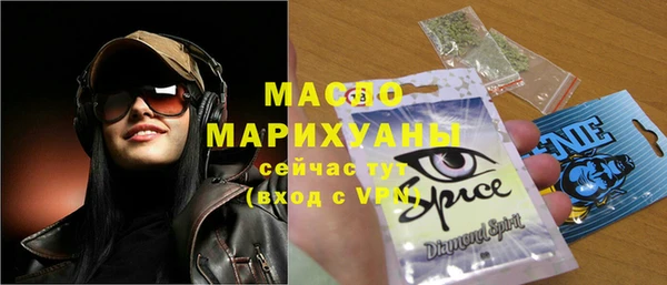 МДПВ Ельня
